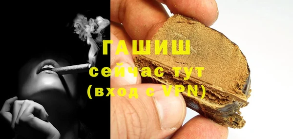 стафф Касимов
