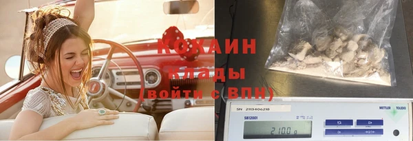 СК Каменск-Шахтинский