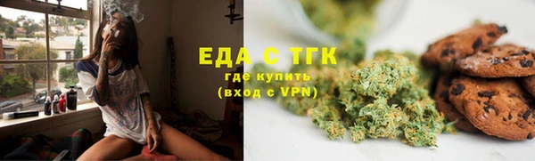 стафф Касимов