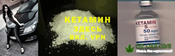 стафф Касимов