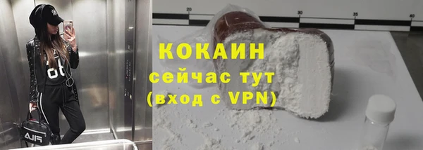 стафф Касимов
