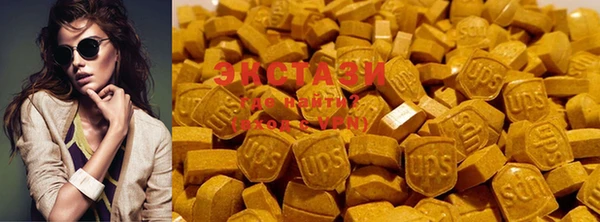 стафф Касимов