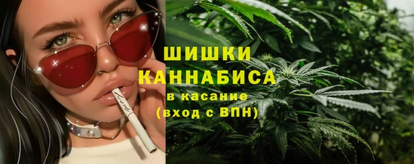 стафф Касимов